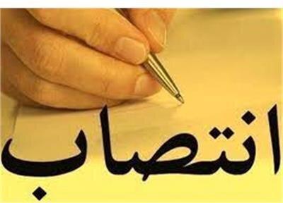 معاون پرستاری وزارت بهداشت منصوب شد