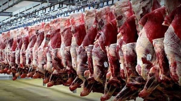 تولید بیش از 19 تن گوشت قرمز در واحد های دامی استان قزوین فراوری بیش از 19 تن گوشت قرمز در واحد های دامی استان قزوین