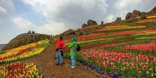 جشنواره گل لاله جاذبه گردشگری البرز