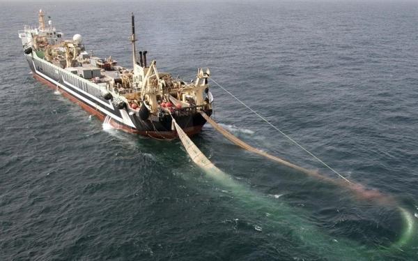 سازمان شیلات: صید ترال به وسیله کشتی های صنعتی خارجی صحت ندارد